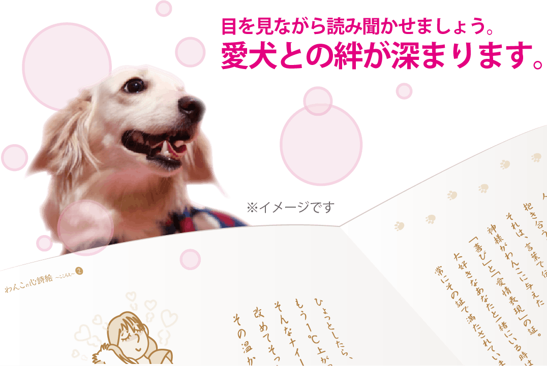 わんこと一緒に楽しめる絵本 わんこの心詩絵 こころえ を作りたい Campfire キャンプファイヤー わんこと一緒に楽しめる絵本 わんこの心詩絵 こころえ を作りたい Campfire キャンプファイヤー