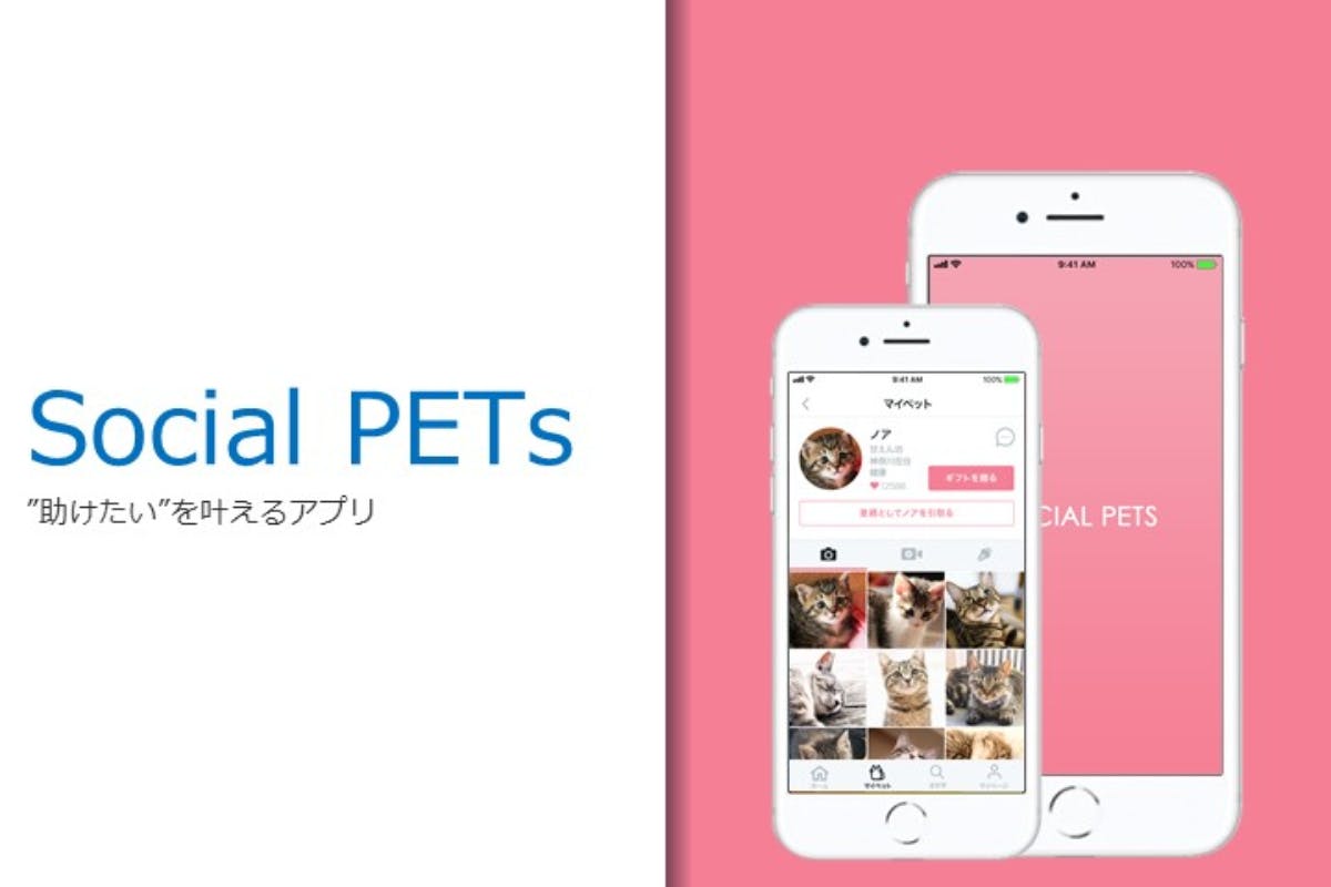【カジュアルに不幸なペットを助ける為のアプリ】の開発前試験ユーザー募集