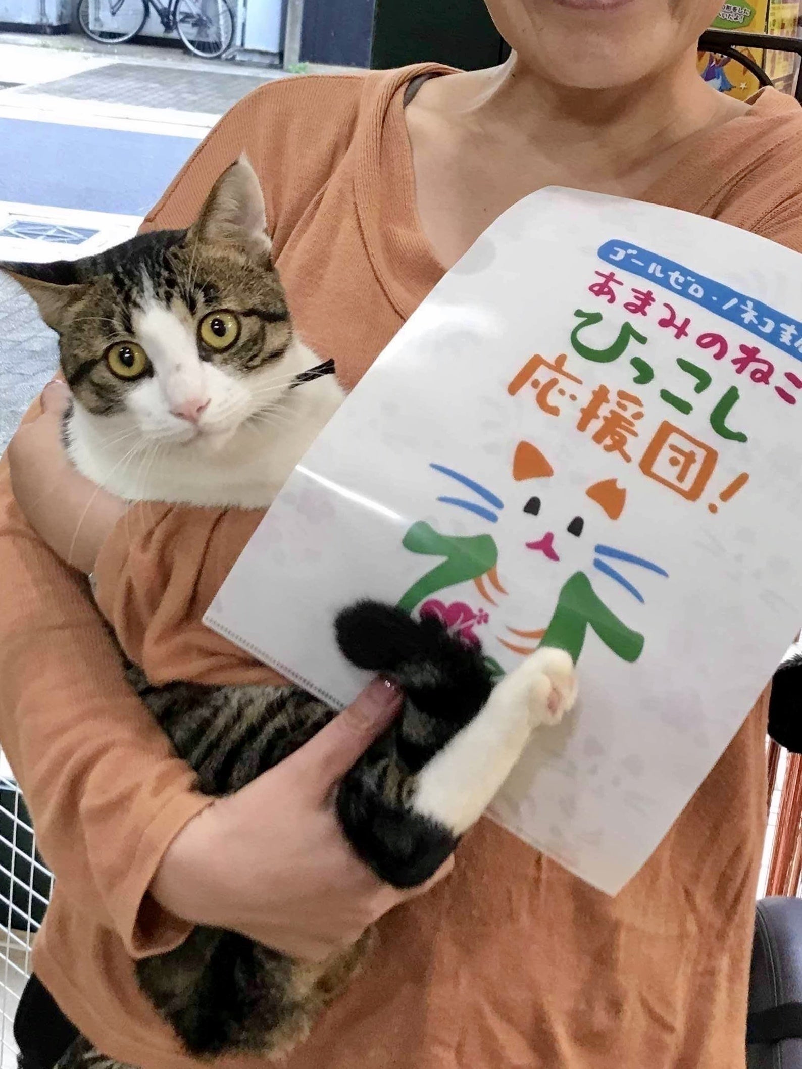 5番目のメイン画像