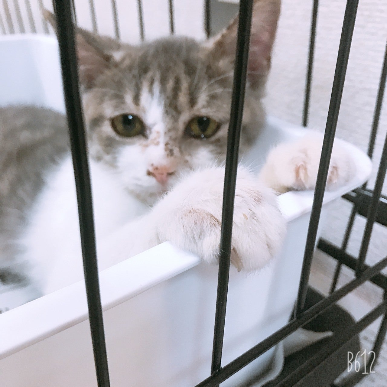 3番目のメイン画像