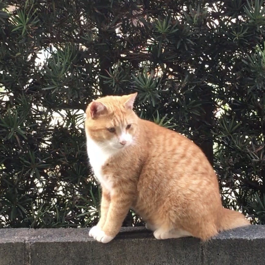 3番目のメイン画像