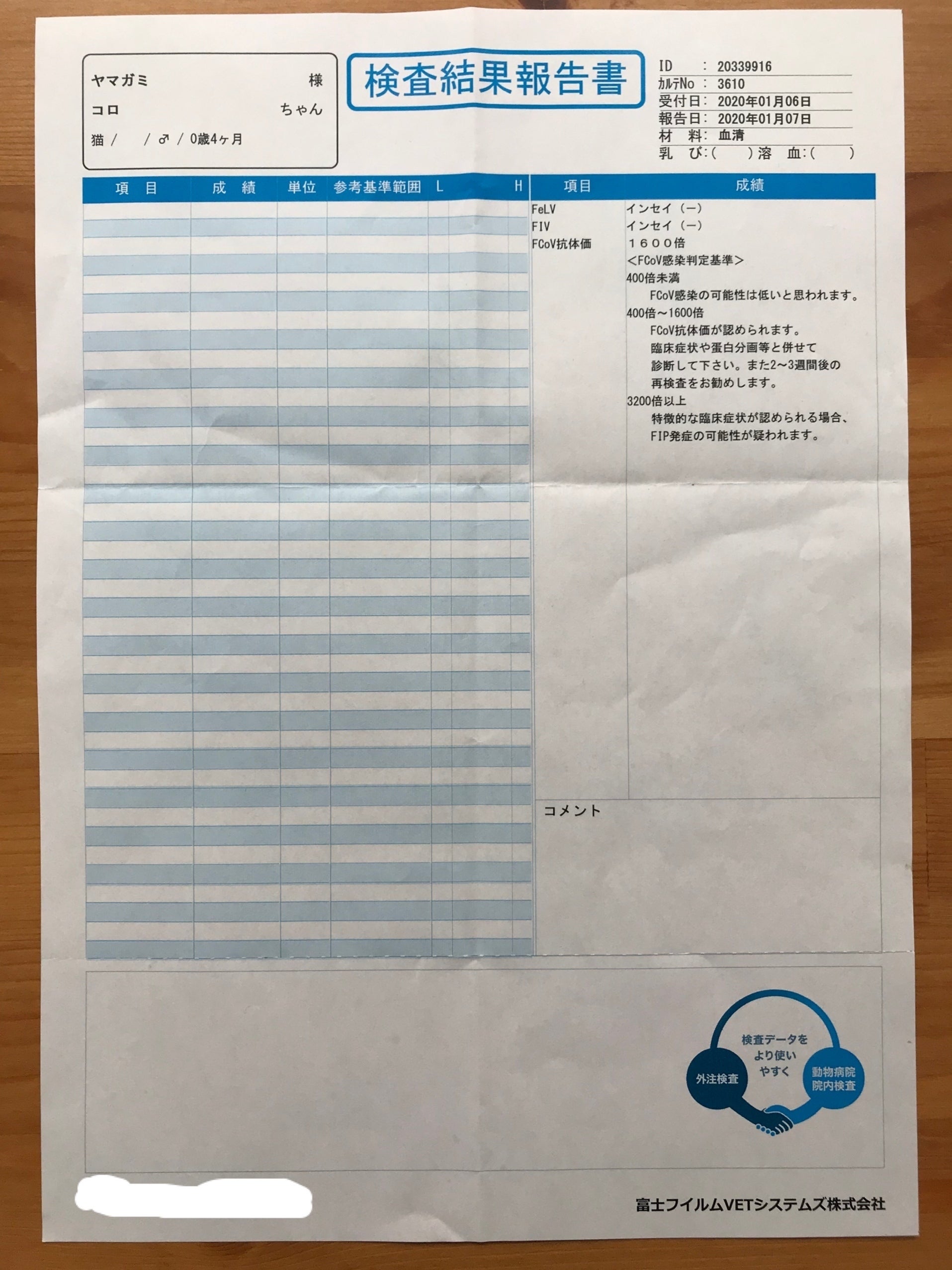 猫伝染性腹膜炎(FIP)の子猫に使う新薬費用 - CAMPFIRE (キャンプ 