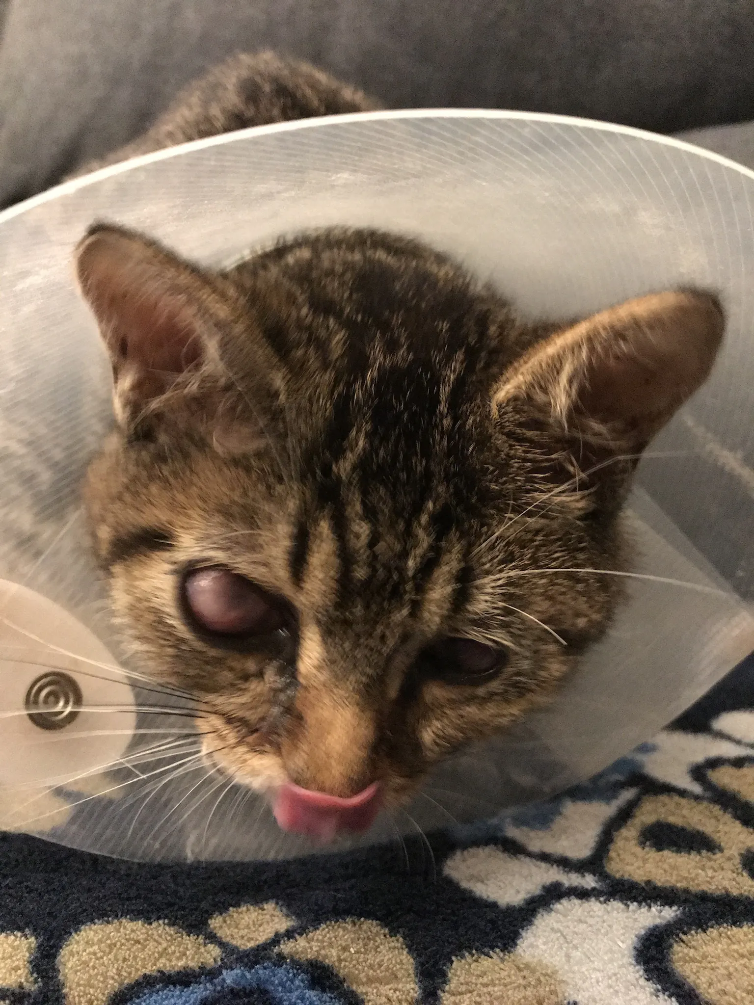 3番目のメイン画像