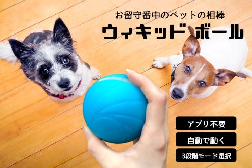 【サイクロン】ウィキッドボール 　日本語説明書付き　ペット　留守番　おもちゃ