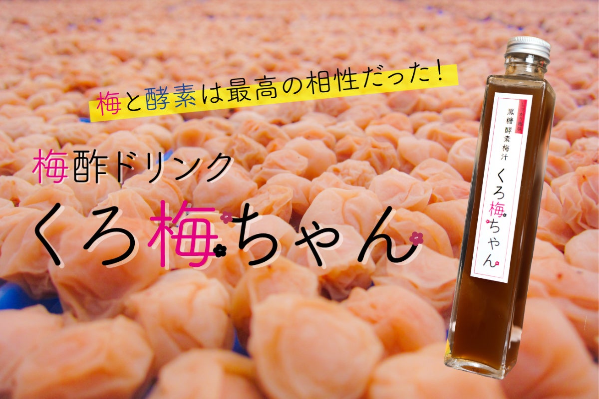 梅酢と酵素は最高の相性だった！ 梅酢ドリンク・くろ梅ちゃん