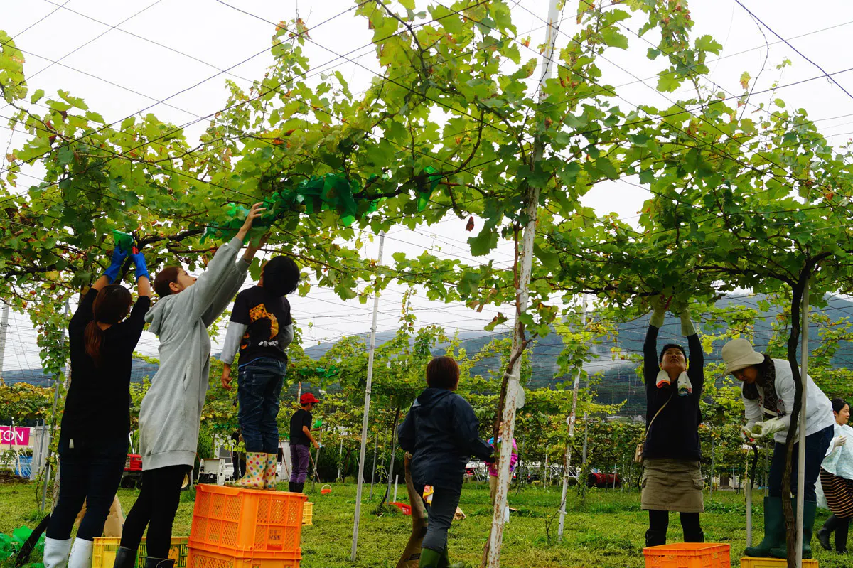 3番目のメイン画像