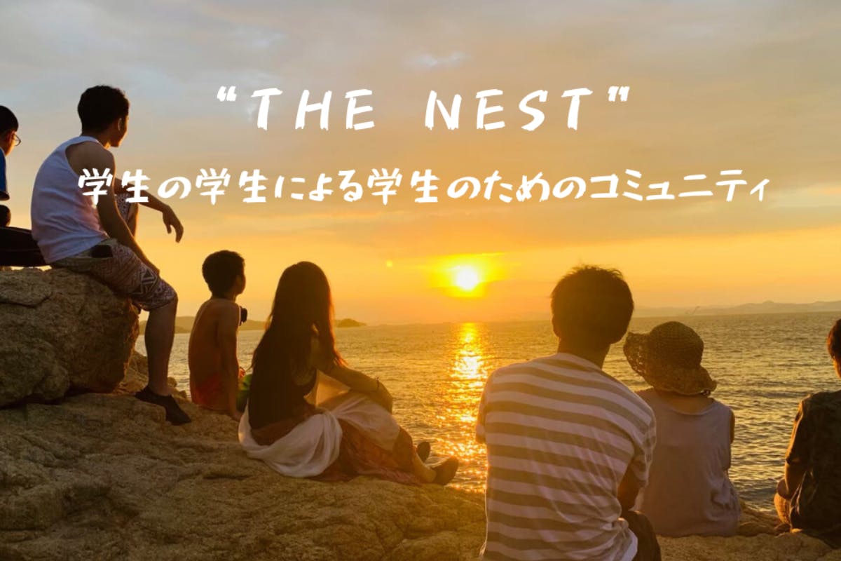 "The Nest"