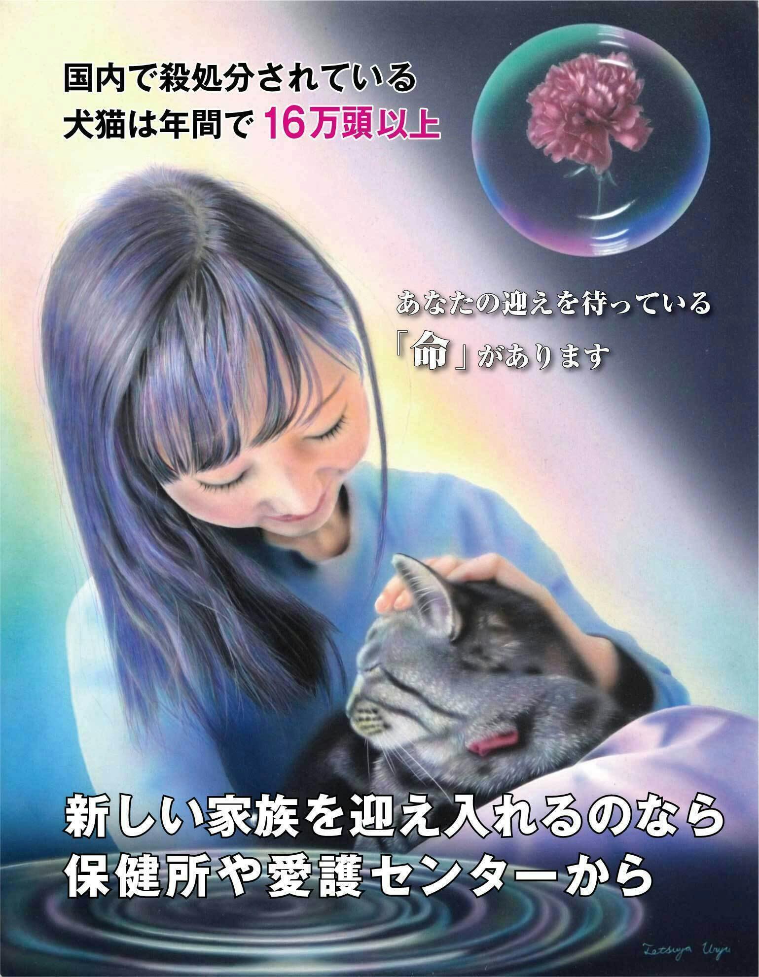 自分の作品の価値を知り 動物や自然保護活動に役立てたい Campfire キャンプファイヤー 自分の作品の価値を知り 動物や自然保護活動に役立てたい Campfire キャンプファイヤー