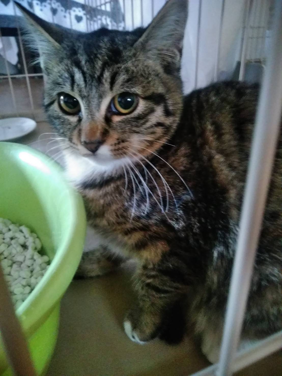 5番目のメイン画像