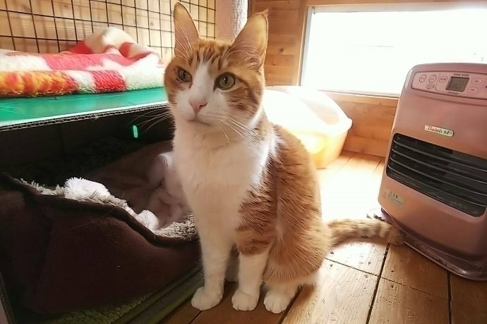 1番目のメイン画像