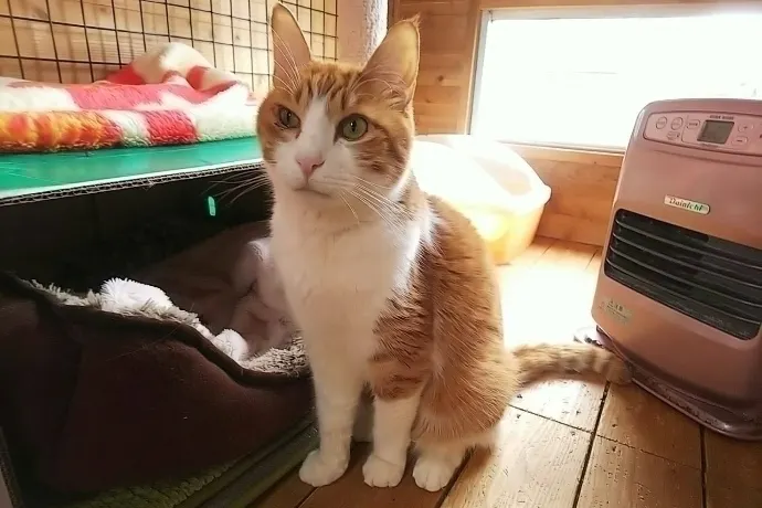 1番目のメイン画像