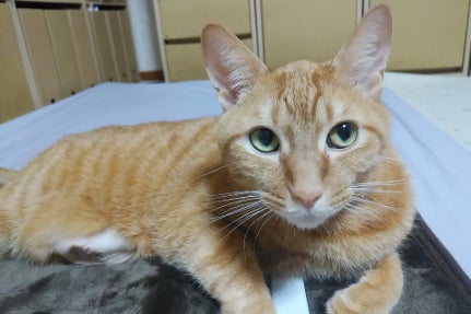 1番目のメイン画像