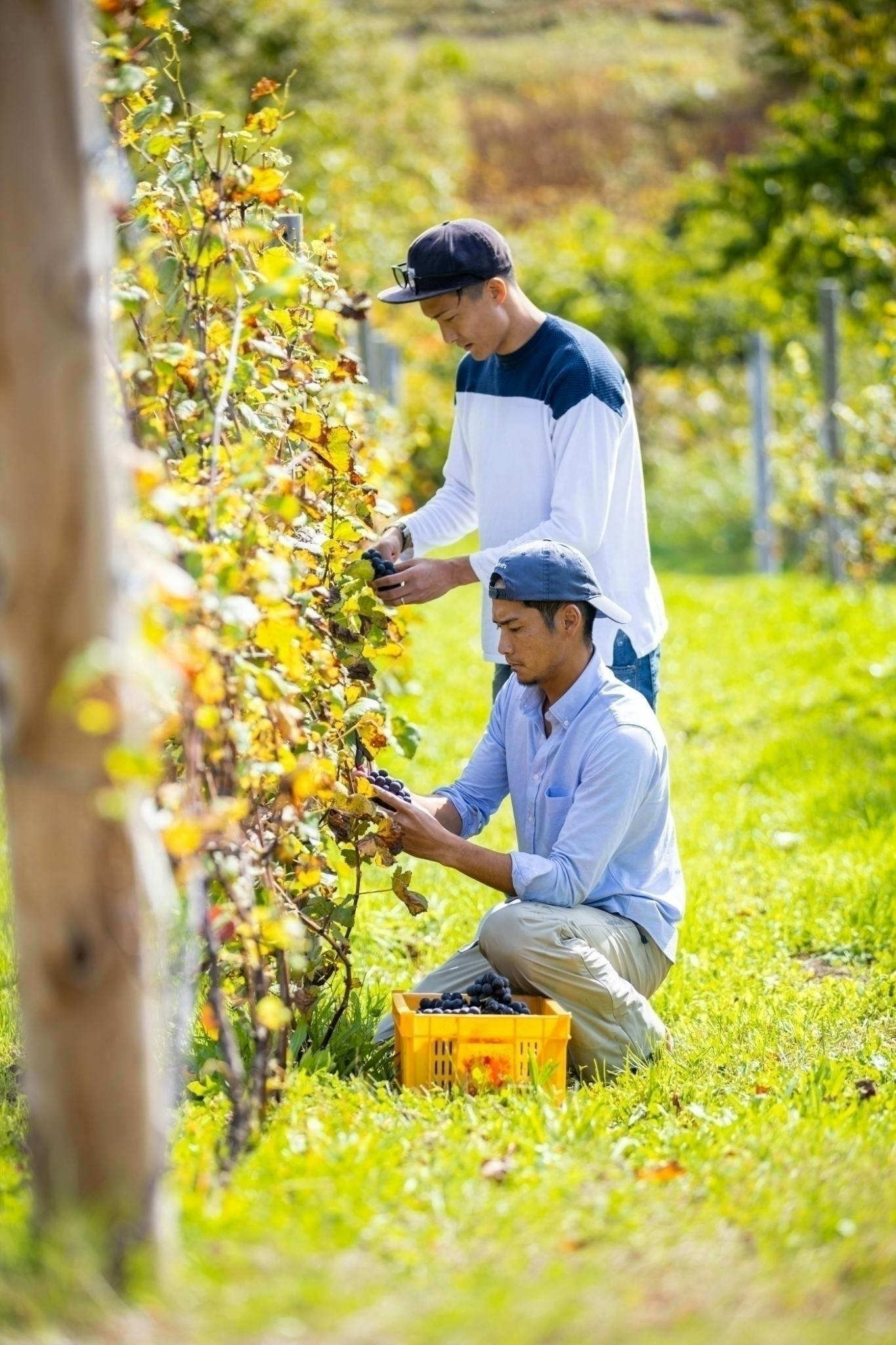 4番目のメイン画像