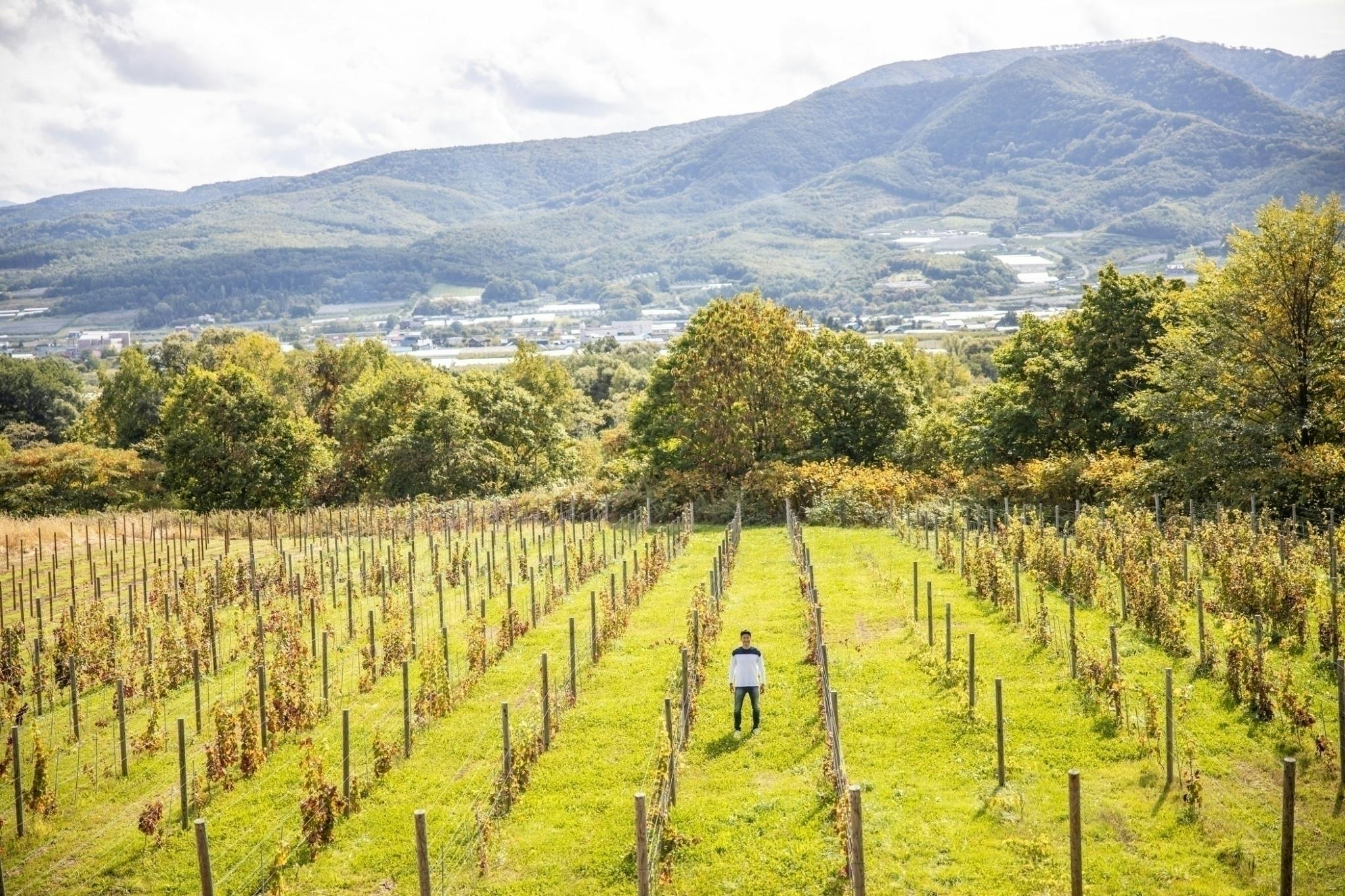 2番目のメイン画像