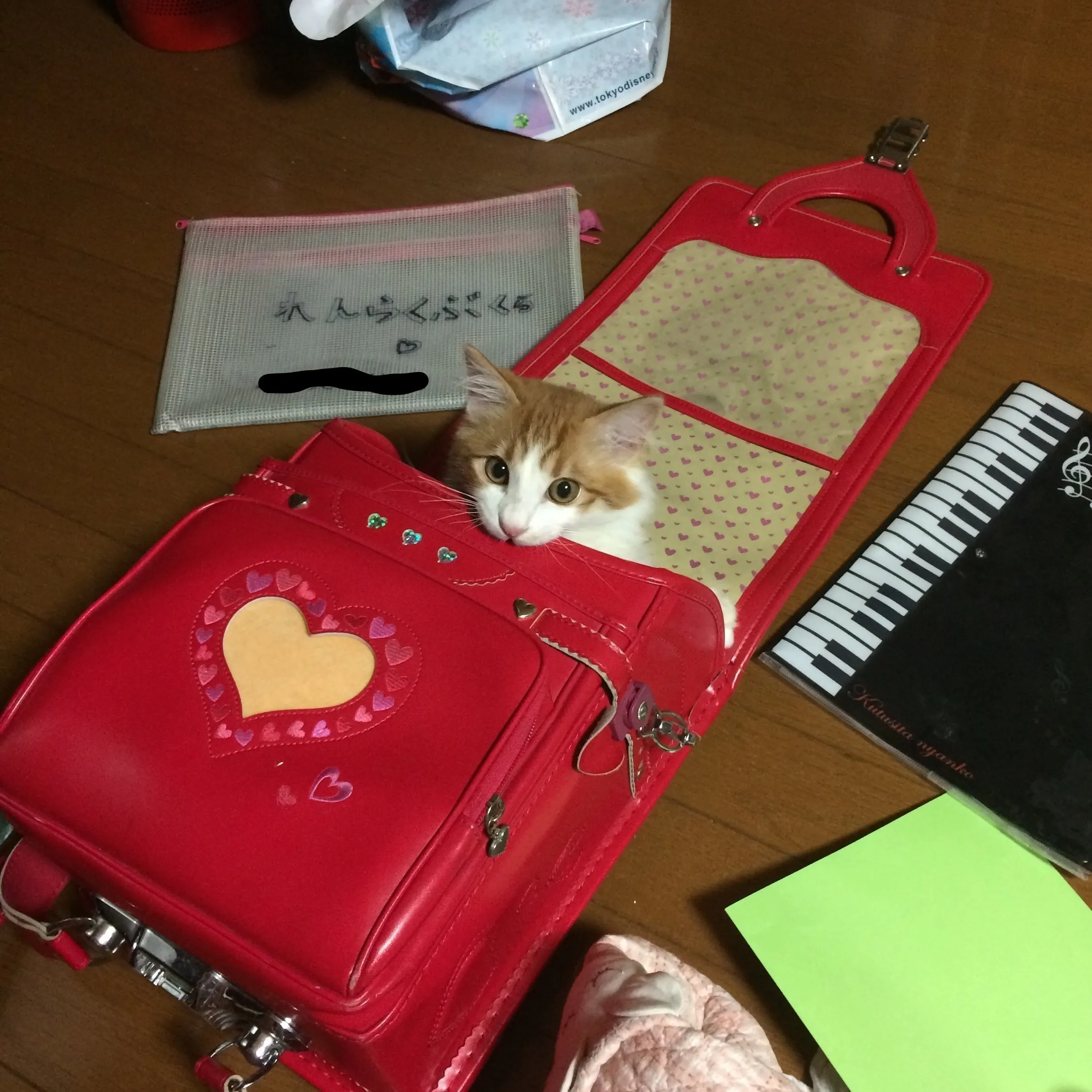 5番目のメイン画像