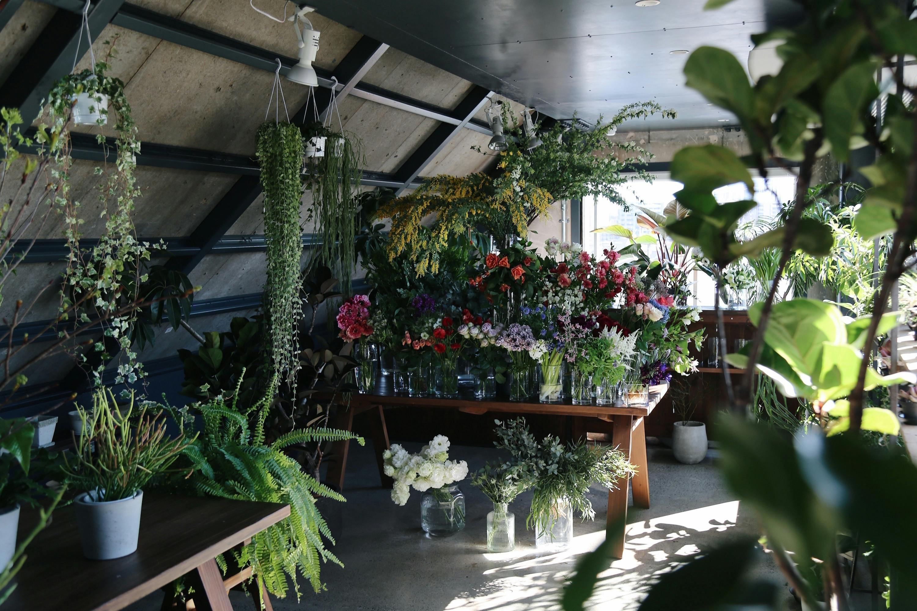 花に名前が付けられる 未来の花屋 のクラウドファンディング Campfire キャンプファイヤー 花に名前が付けられる 未来の花屋 のクラウドファンディング Campfire キャンプファイヤー