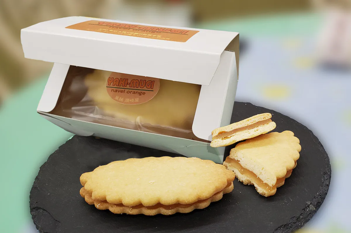 3番目のメイン画像