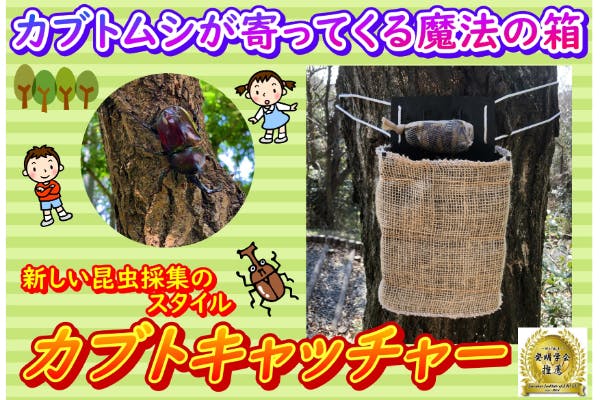 カブトムシが簡単に寄ってくる魔法の箱 Campfire キャンプファイヤー