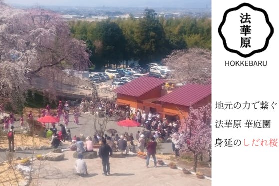 福岡県うきは市 法華原 華庭園 地域の力で守る身延桜 Campfire キャンプファイヤー