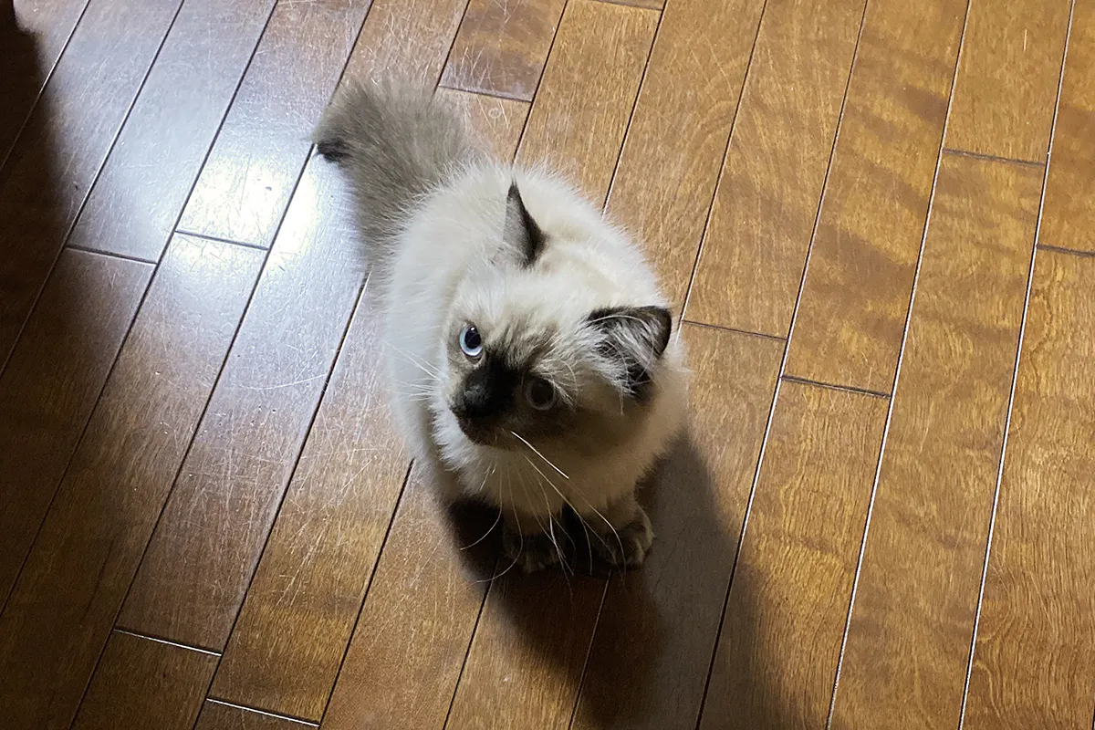 5番目のメイン画像