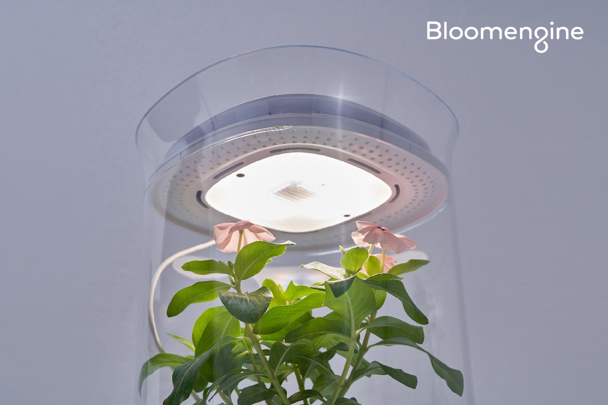 Bloom Engine スマートプランター本体 水やり、送風、人工照明、録画。スマートプランター「Bloomengine」は