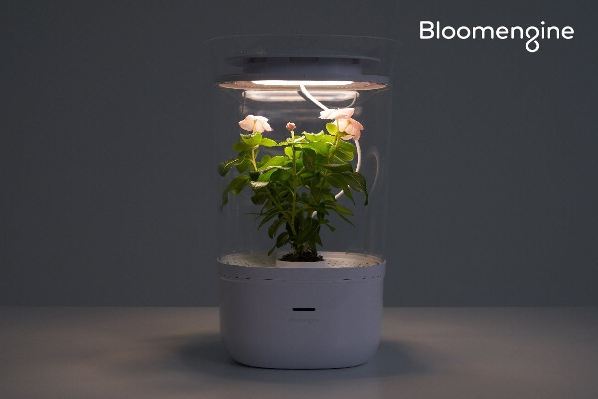 水 風 光を全自動管理で植物を枯らすことはない スマートプランター日本初上陸 Campfire キャンプファイヤー 水 風 光を全自動管理で植物を枯らすことはない スマートプランター日本初上陸 Campfire キャンプファイヤー