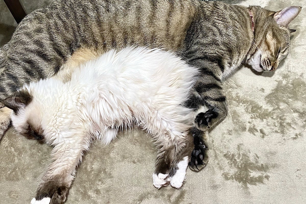 5番目のメイン画像