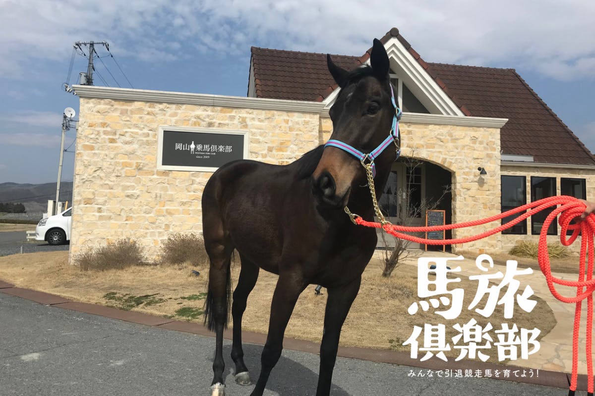 馬旅倶楽部 みんなで引退競走馬を育てよう!