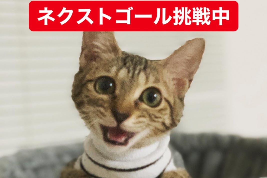 一度助かった命をもう一度助けたい。難病にかかった猫に未承認の薬で 