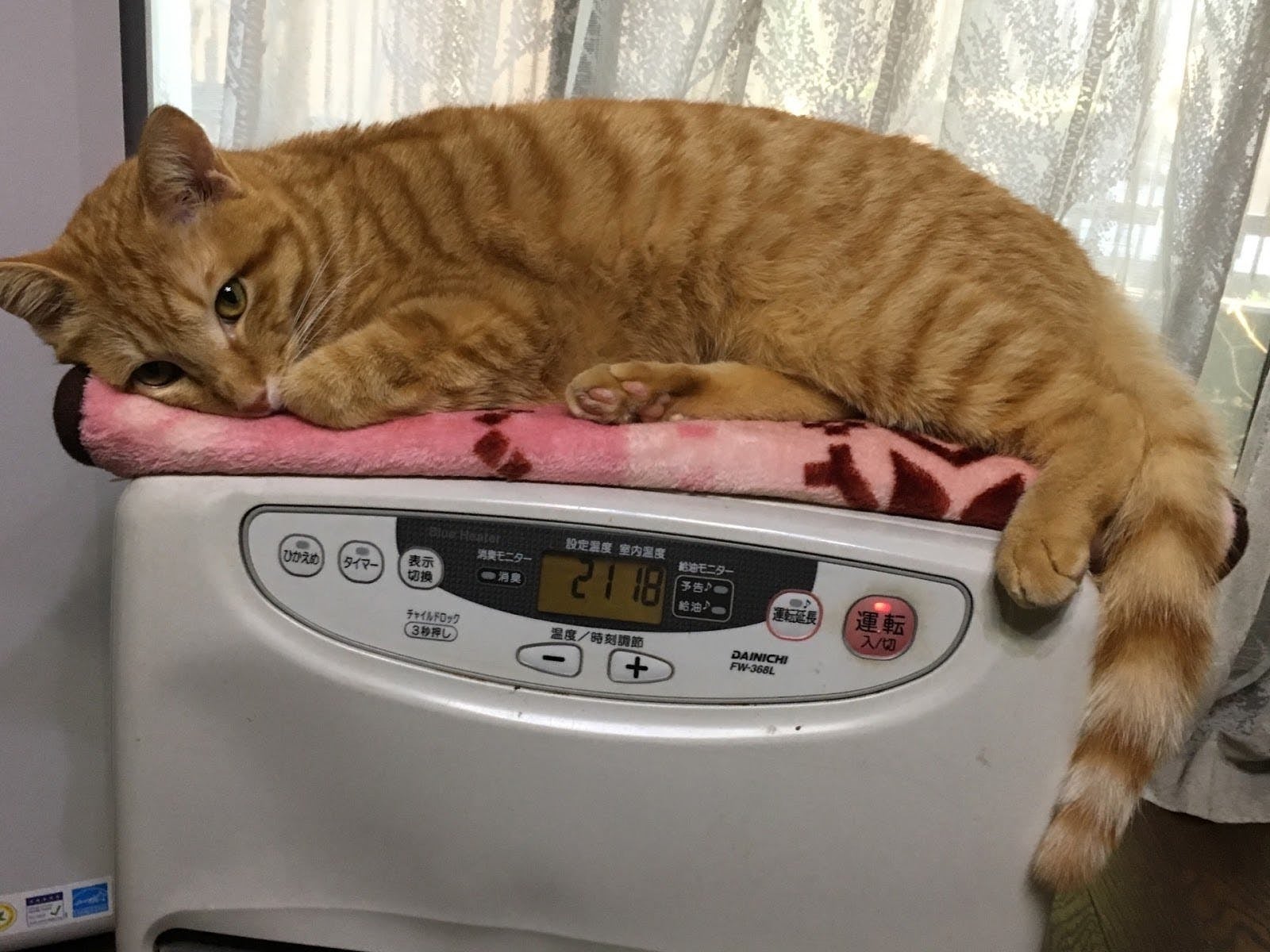 5番目のメイン画像