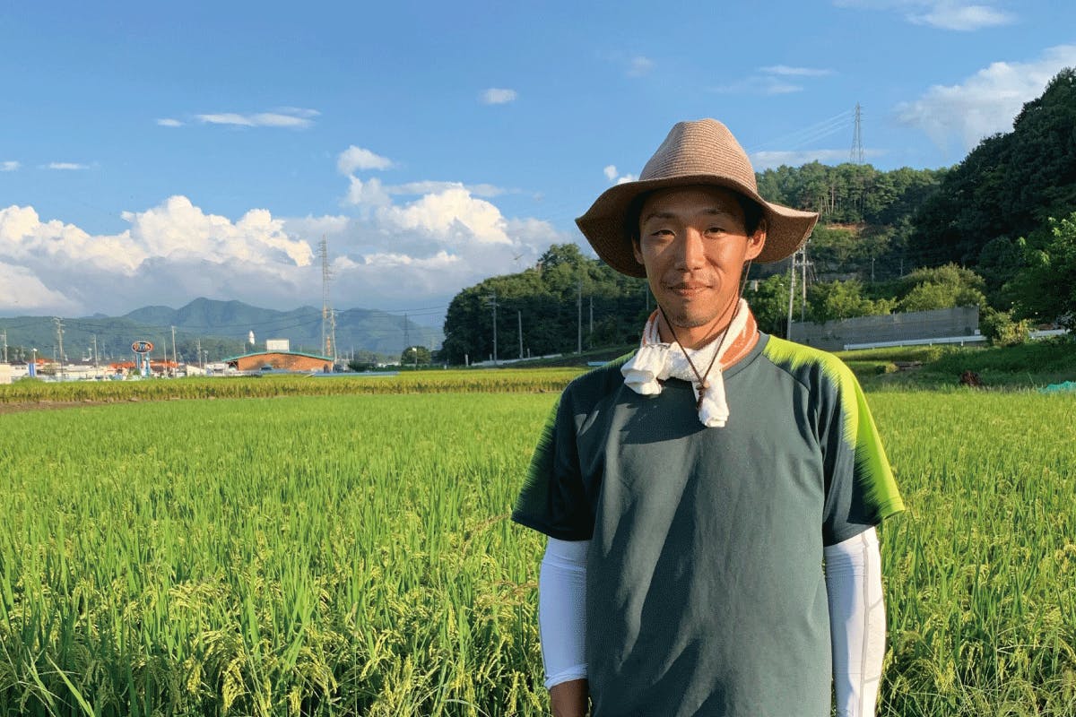 農薬不使用のコシヒカリ 生きもの田んぼのお米 で醸す 夢の日本酒プロジェクト Campfire キャンプファイヤー 農薬不使用のコシヒカリ 生きもの田んぼのお米 で醸す 夢の日本酒プロジェクト Campfire キャンプファイヤー