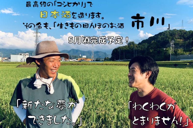 農薬不使用のコシヒカリ 生きもの田んぼのお米 で醸す 夢の日本酒プロジェクト Campfire キャンプファイヤー
