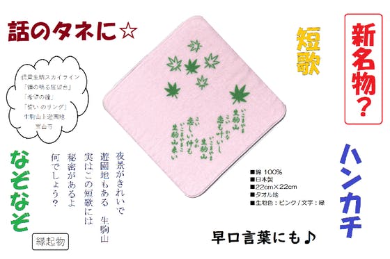 奈良 生駒の新おみやげの定番として広めたい アクティビティ Campfire キャンプファイヤー