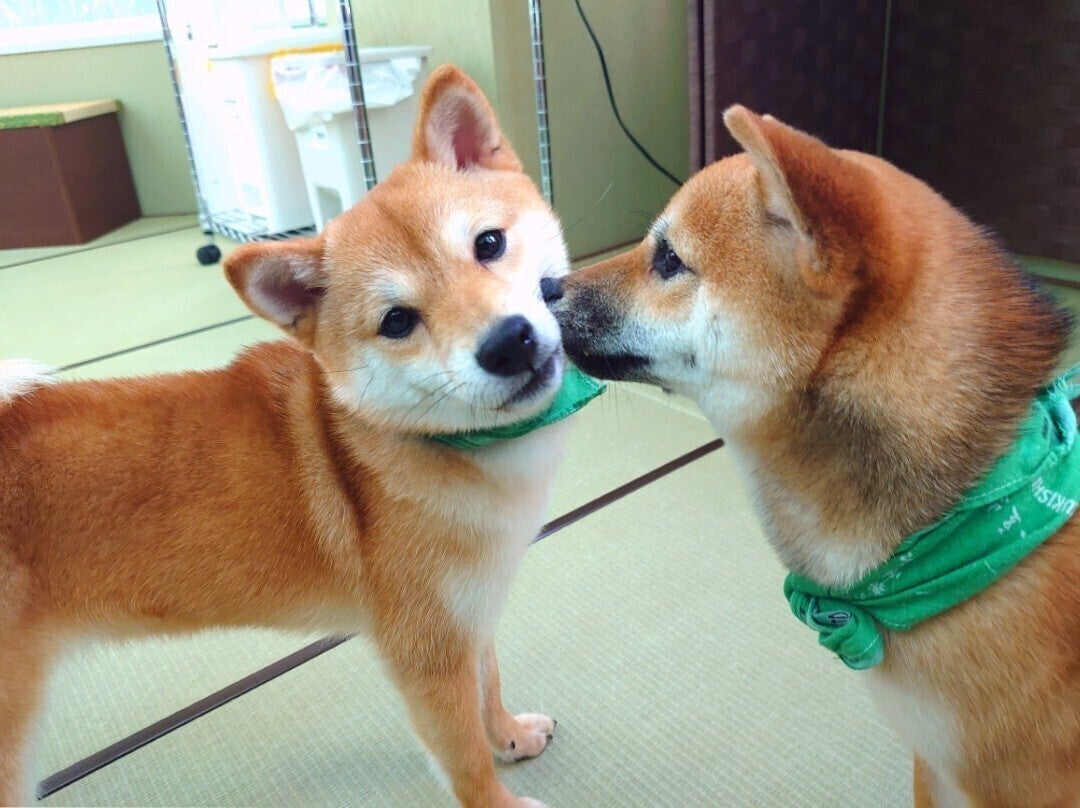 2番目のメイン画像