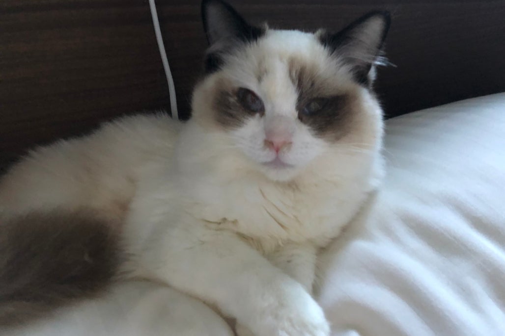 1番目のメイン画像