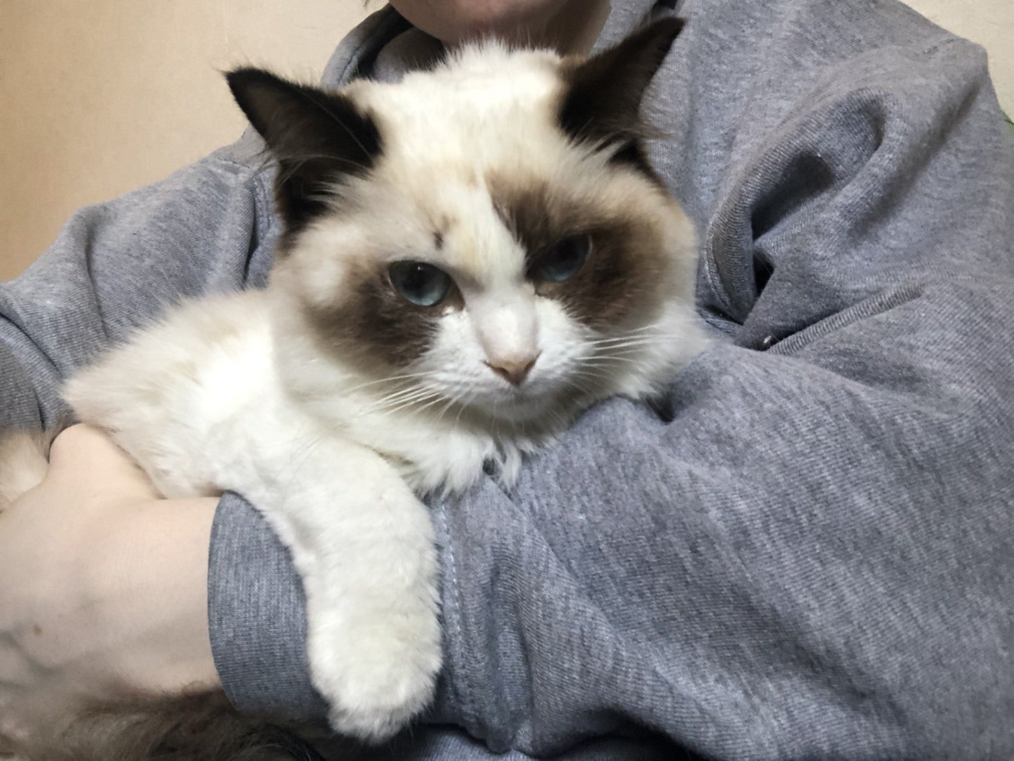 5番目のメイン画像