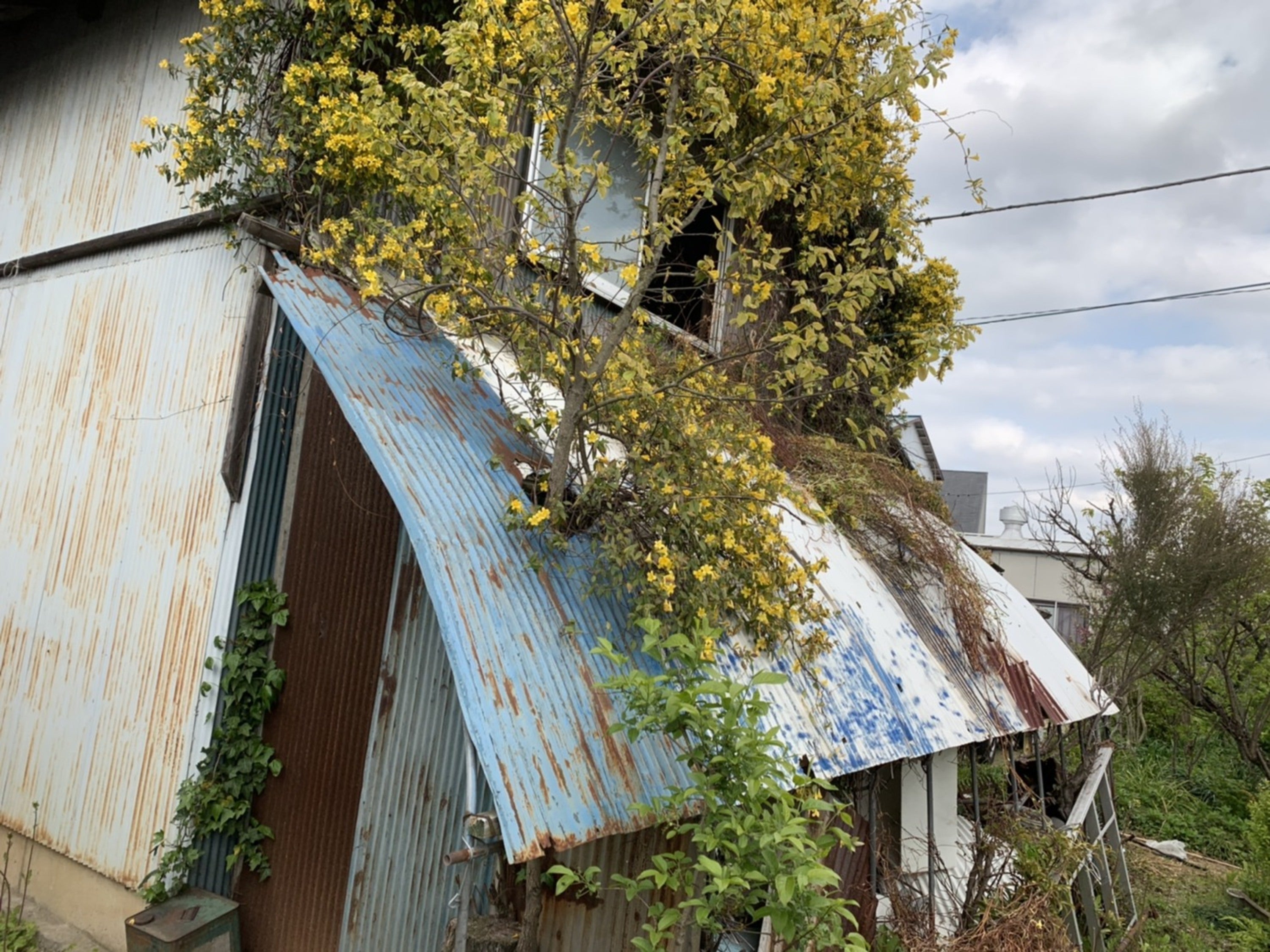 5番目のメイン画像