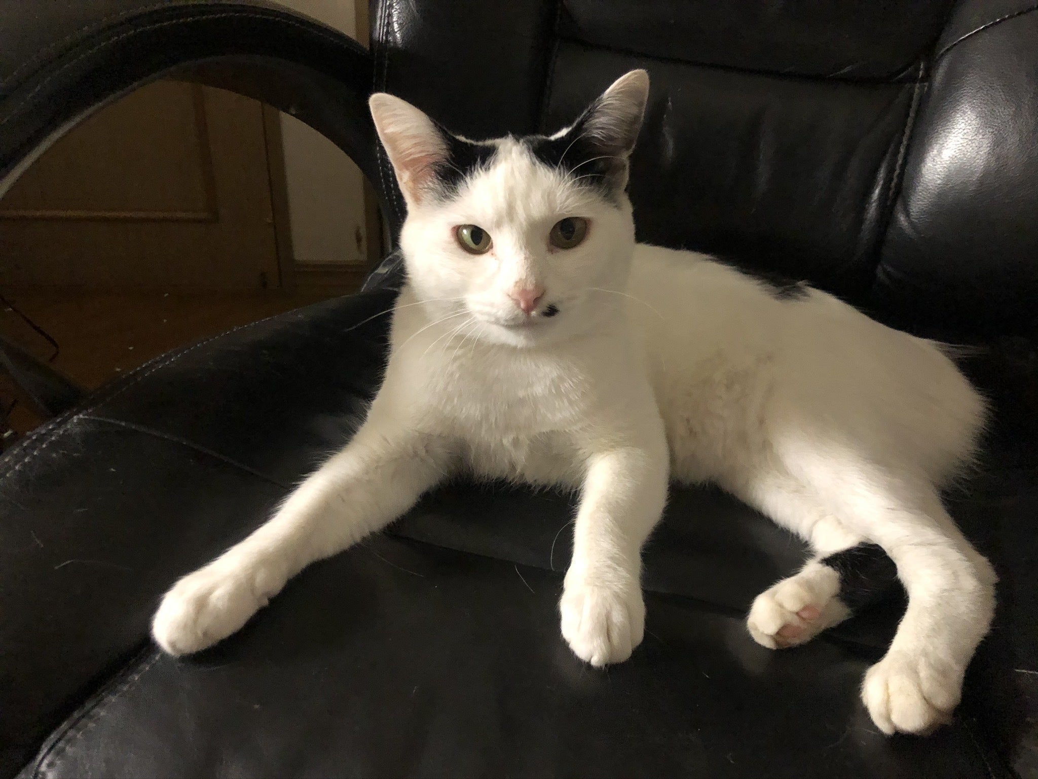 3番目のメイン画像