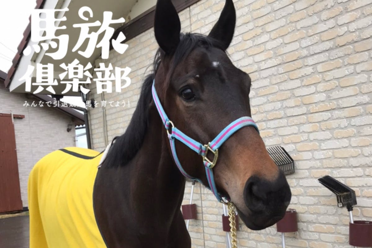 馬旅倶楽部 みんなで引退競走馬を育てよう!