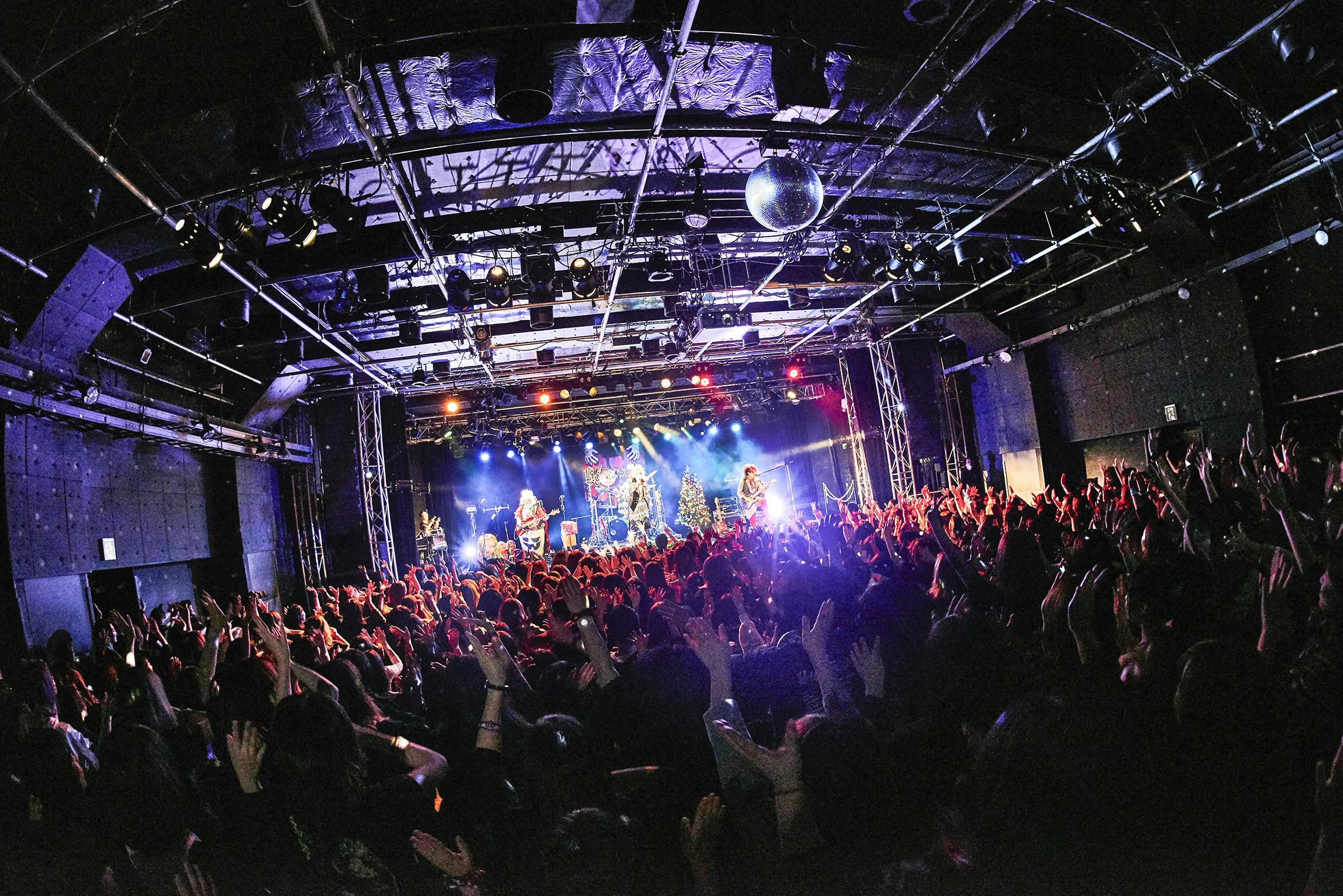 BabyKingdom DVD 撮影券 BabyKingdom】中止になったライブを形に残したい！！ - CAMPFIRE