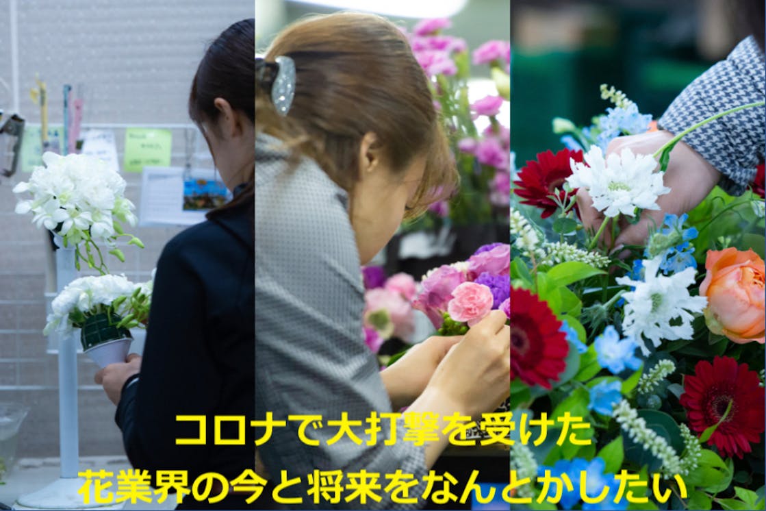 コロナで大打撃 花業界の今と将来をなんとかしたい Campfire キャンプファイヤー