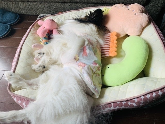 3番目のメイン画像