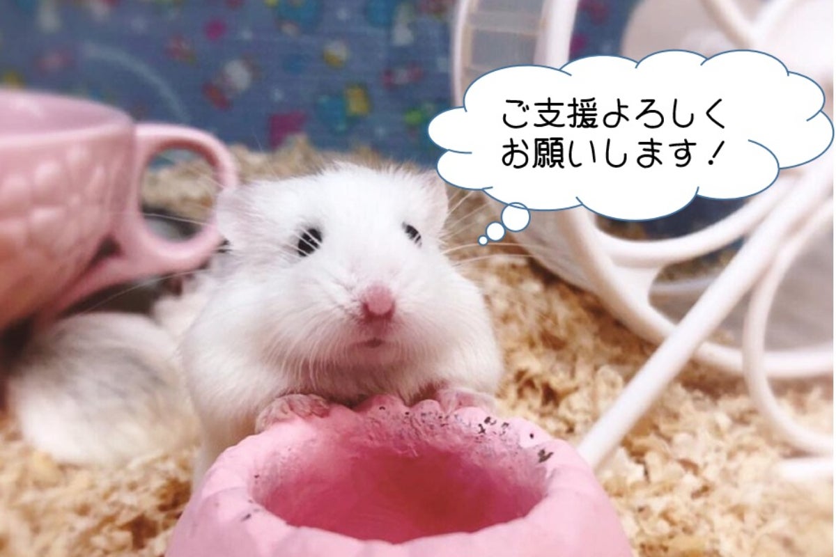 1番目のメイン画像