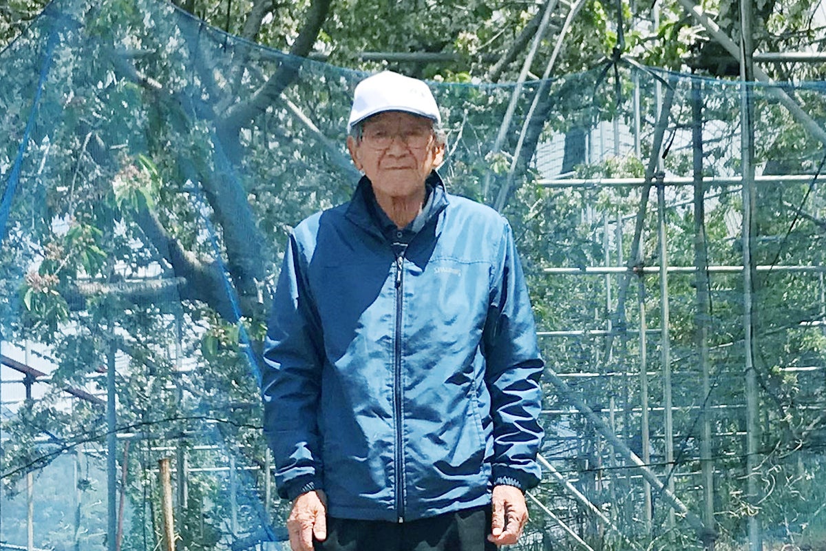 3番目のメイン画像