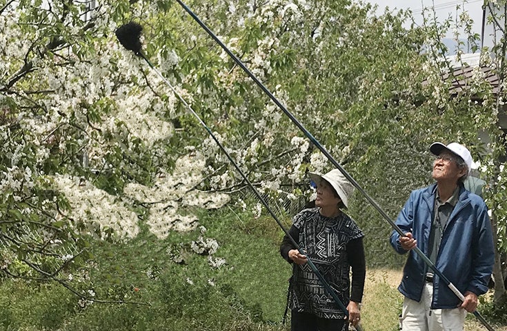 2番目のメイン画像