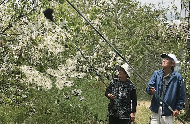 2番目のメイン画像