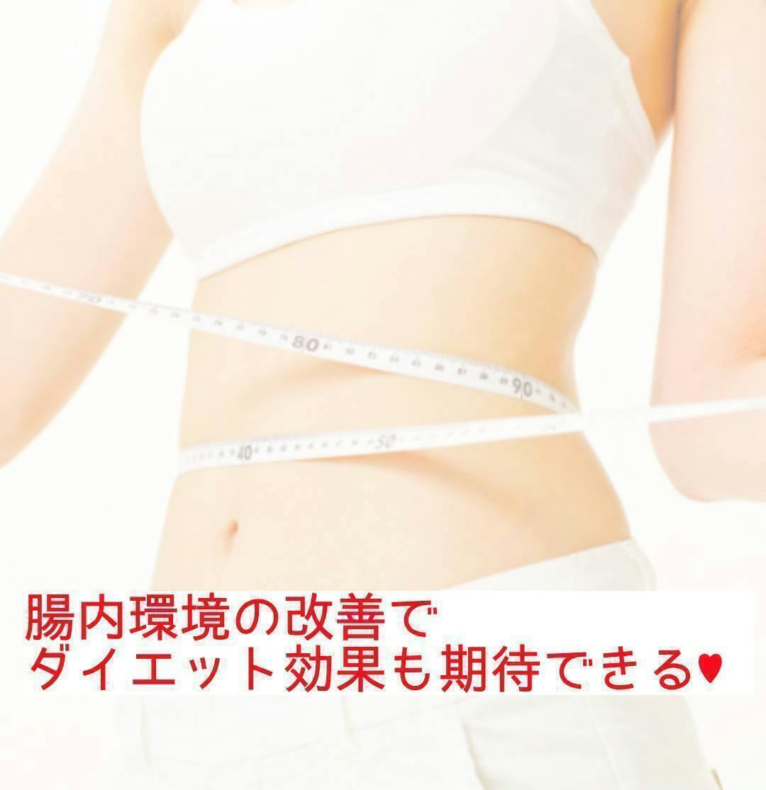 免疫細胞の7割は腸に存在する 腸内環境の改善でコロナに負けない身体作り Campfire キャンプファイヤー 免疫細胞の7割は腸に存在する 腸内環境の改善でコロナに負けない身体作り Campfire キャンプファイヤー