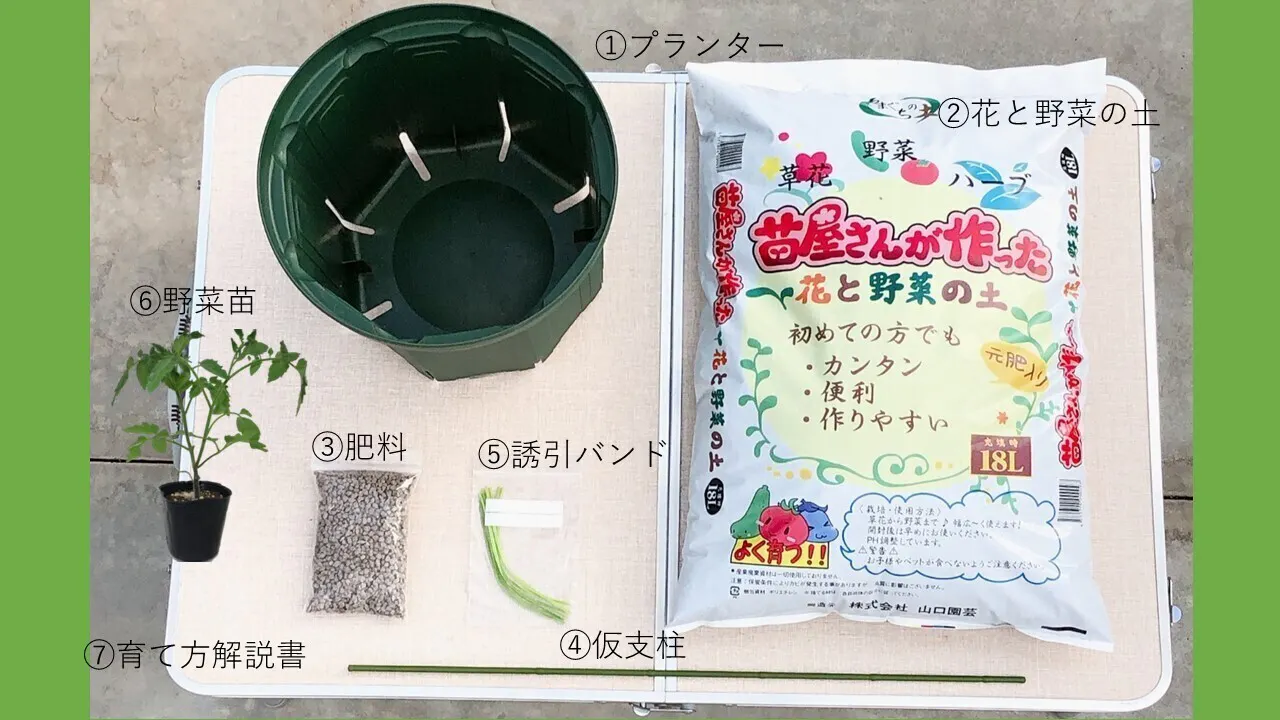 おうちでフルーツトマトを育てよう 野菜の力で元気を届けるプロジェクト Campfire キャンプファイヤー おうちでフルーツトマトを育てよう 野菜の力で元気を届けるプロジェクト Campfire キャンプファイヤー
