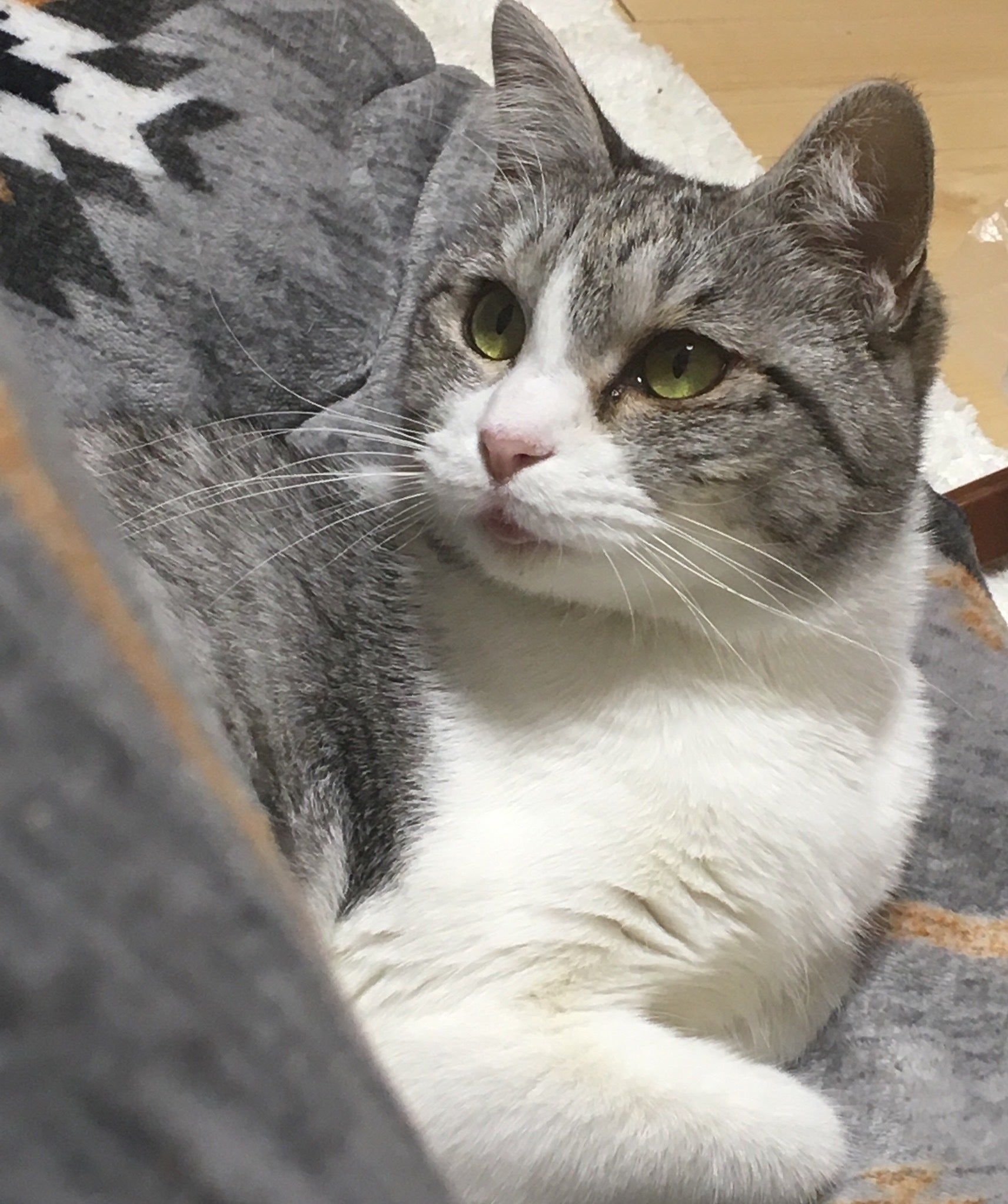 3番目のメイン画像