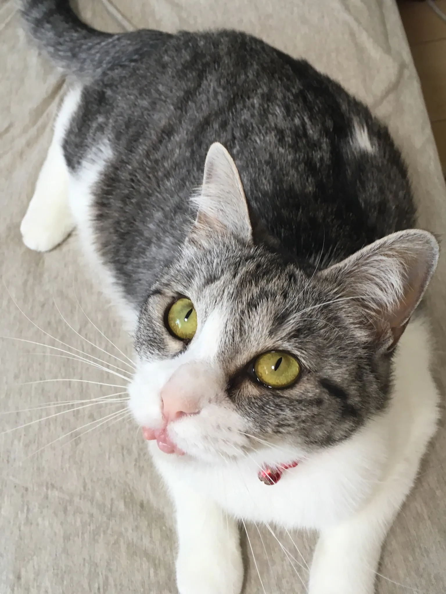 5番目のメイン画像